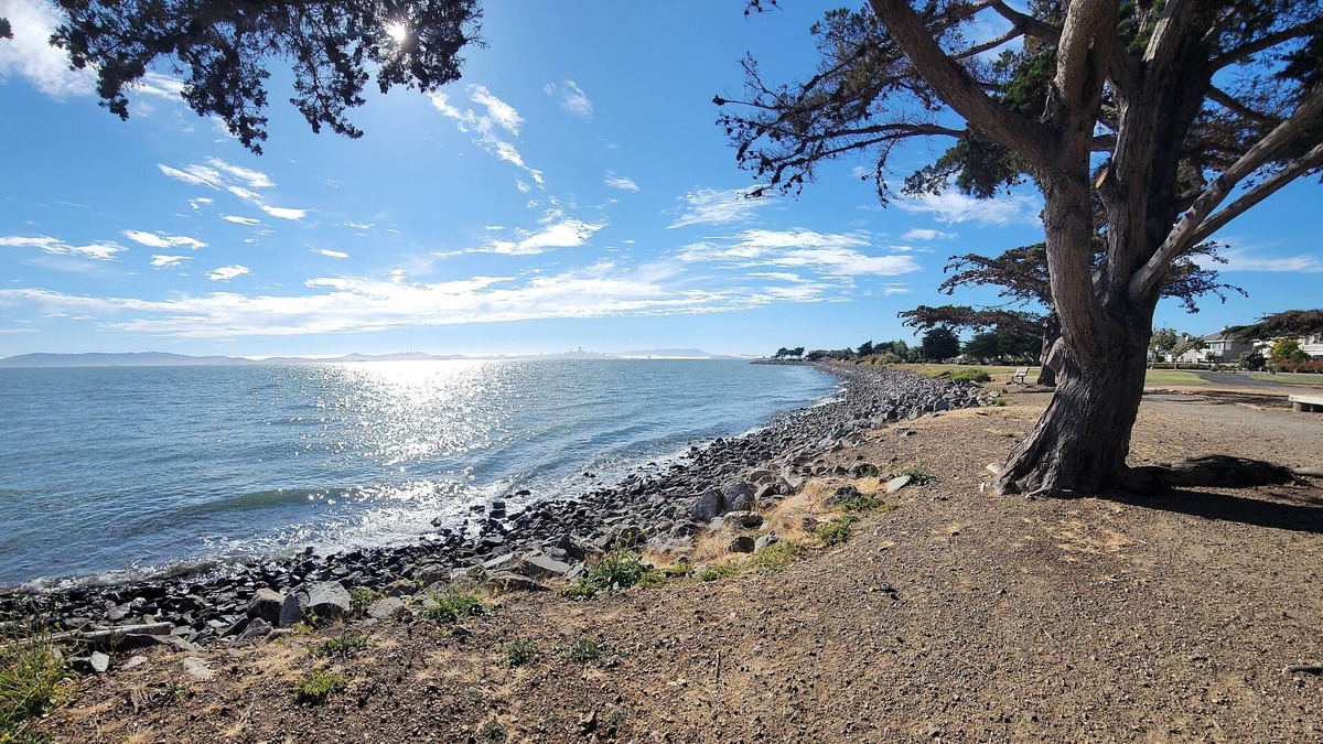 Alameda House | Beautiful house/Short drive to the beach/Parking/Amazing Alameda