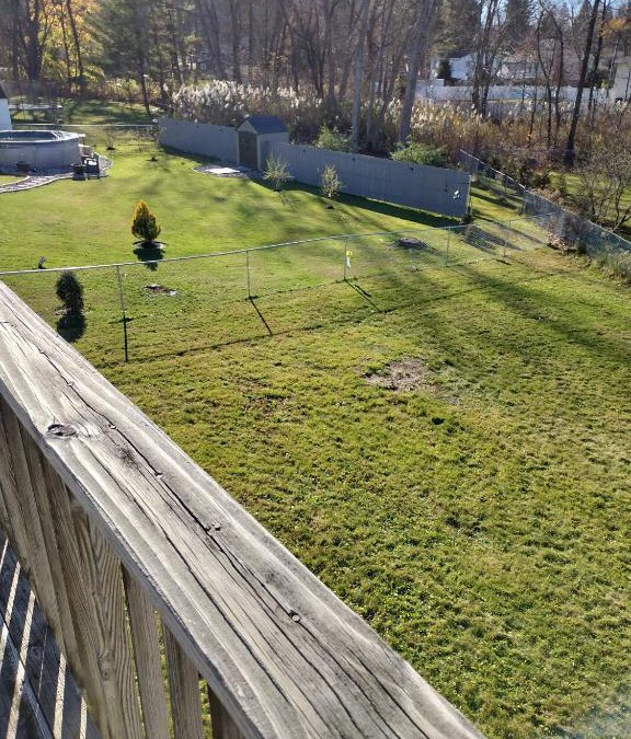 Newtonville House | Beautiful House