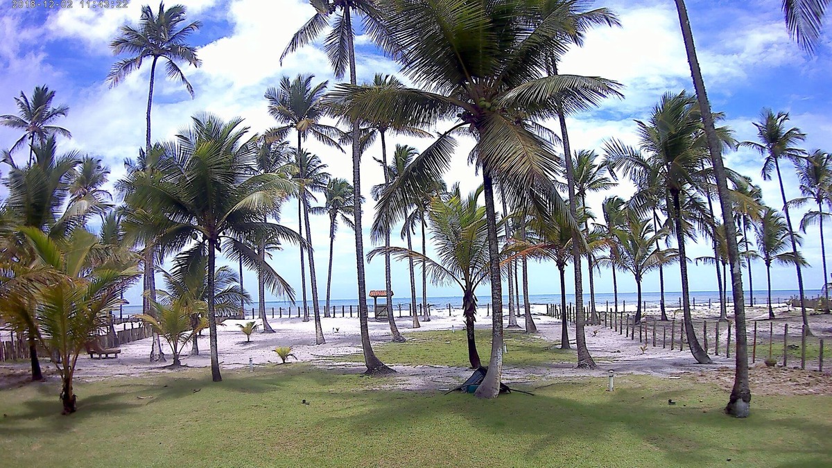 Aritagua House | Beautiful house with pool by the sea for up to 8 people in Ilhéus-BA.