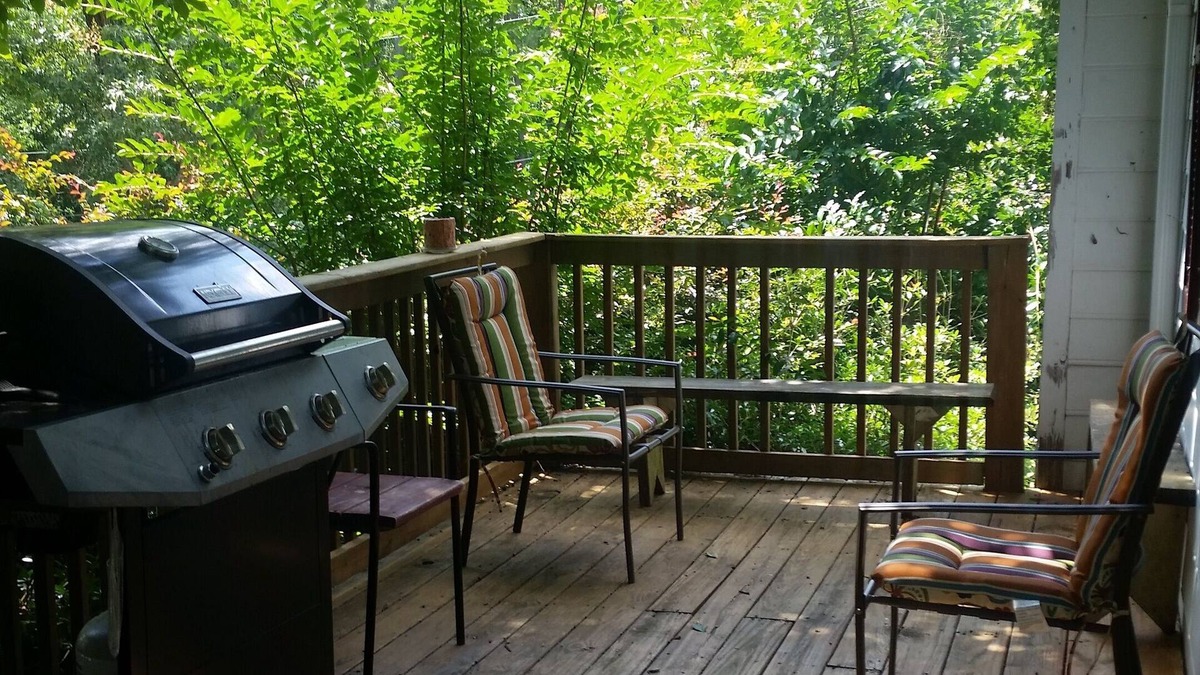 Bogart House | Beautiful Lake View Property! Long term or Monthly rentals welcome!