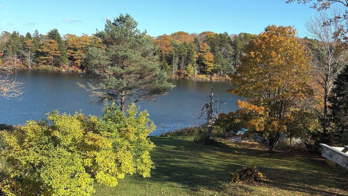 Cole Harbour Apartment | Beautiful lake view unit/Sauna/Kayak & Skate seasonal available