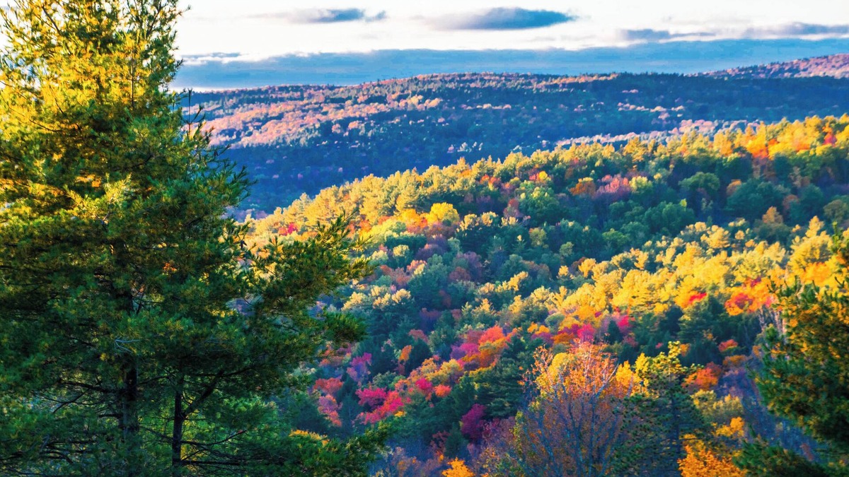 Worthington House | Beautiful Mountaintop Retreat In The Country!