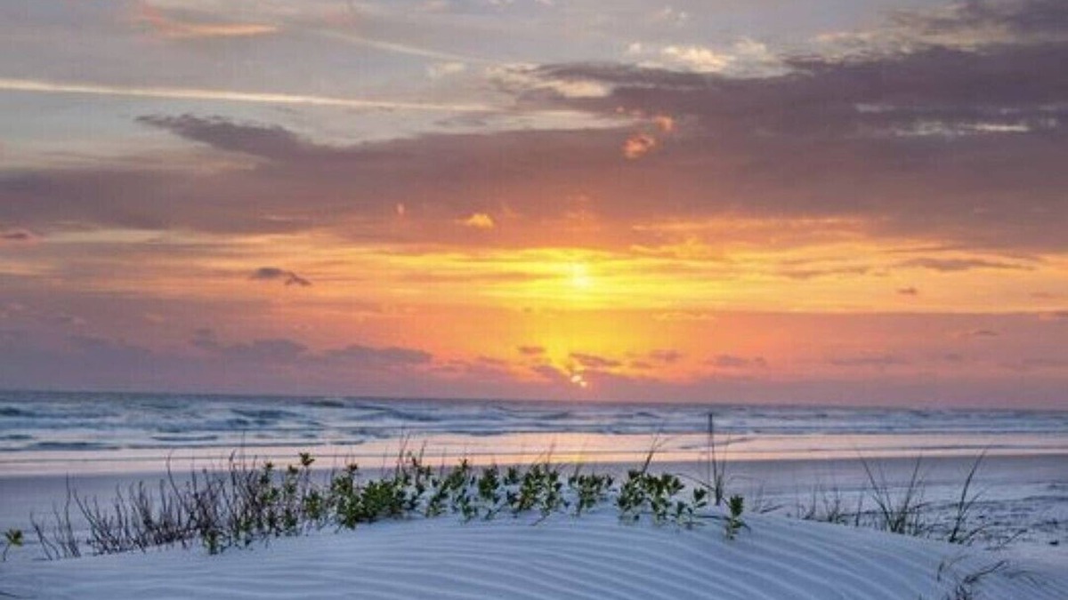 New Smyrna Beach Condo | BEAUTIFUL ocean front/view 1 bed condo on NO DRIVE NSB, WIFI