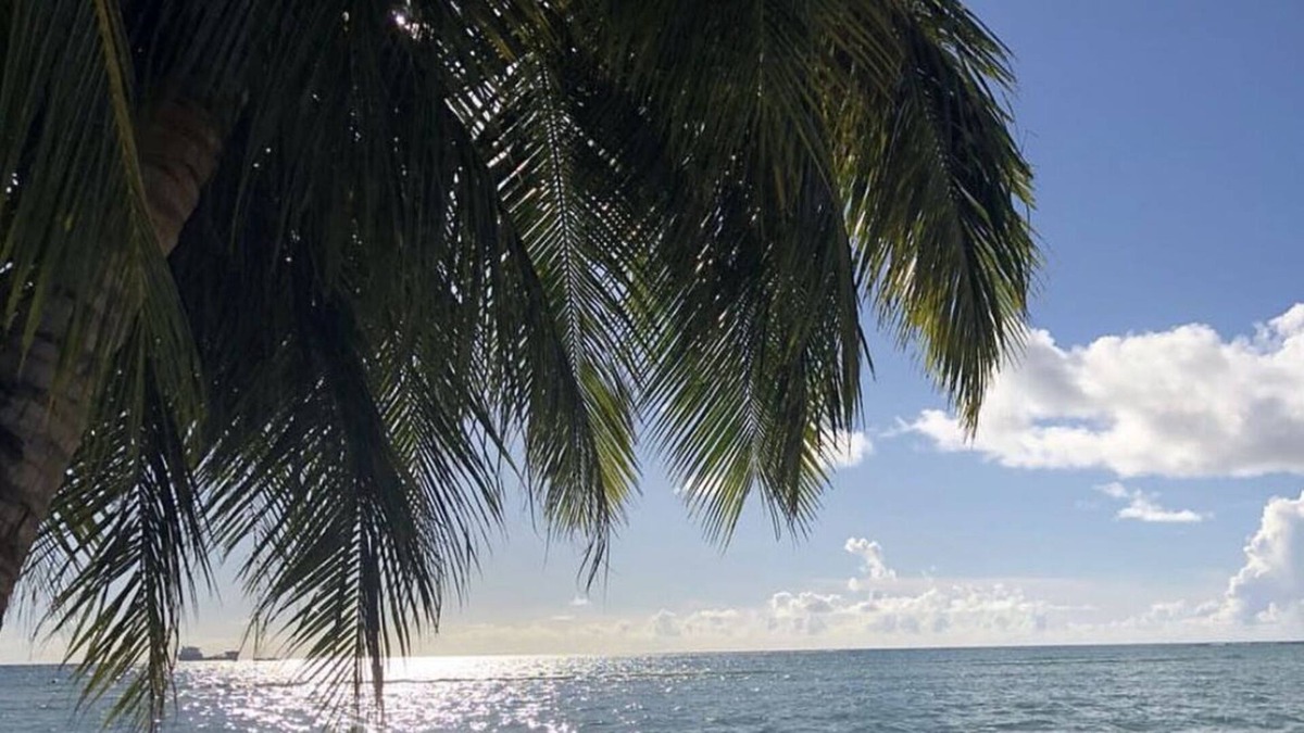 San Roque Apartment | Beautiful One- Bedroom Unit across PauPau Beach
