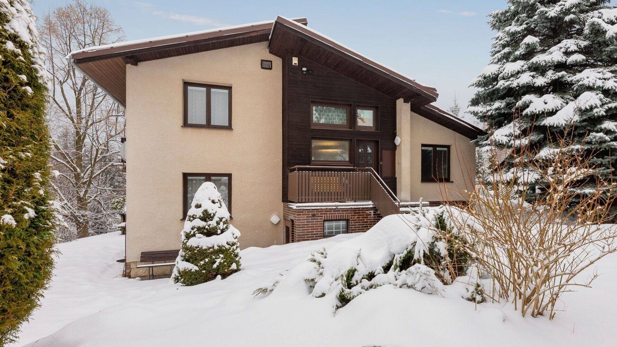 Desna House | Beautiful private villa for 8 guests with WIFI, TV, terrace, pets allowed and panoramic view