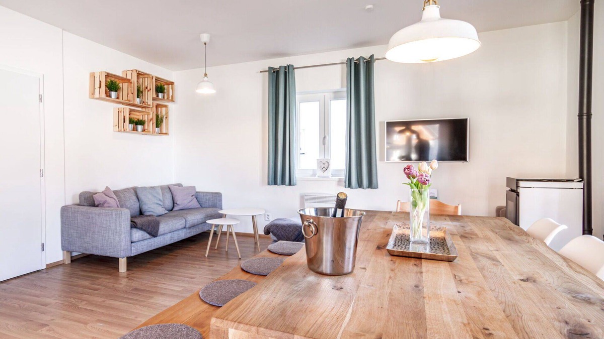 Frymburk House | Beautiful private villa for 5 guests with WIFI, TV, terrace and pets allowed