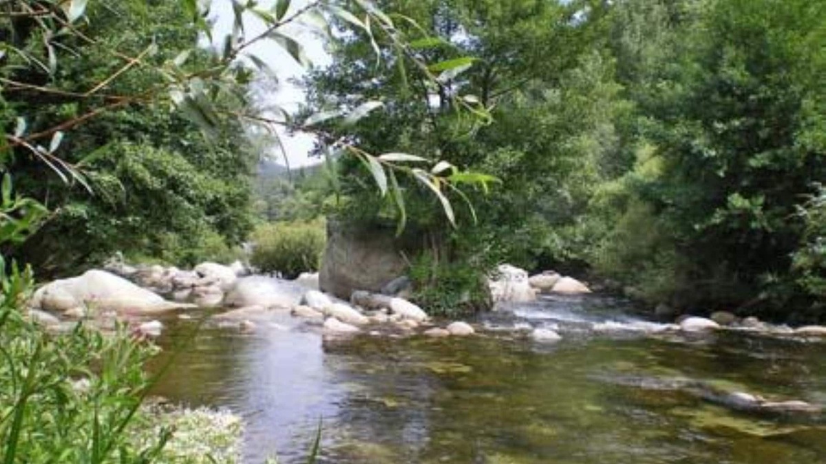 Arles-sur-Tech House | Beautiful Restored Mill With Pool And Direct Private River Access