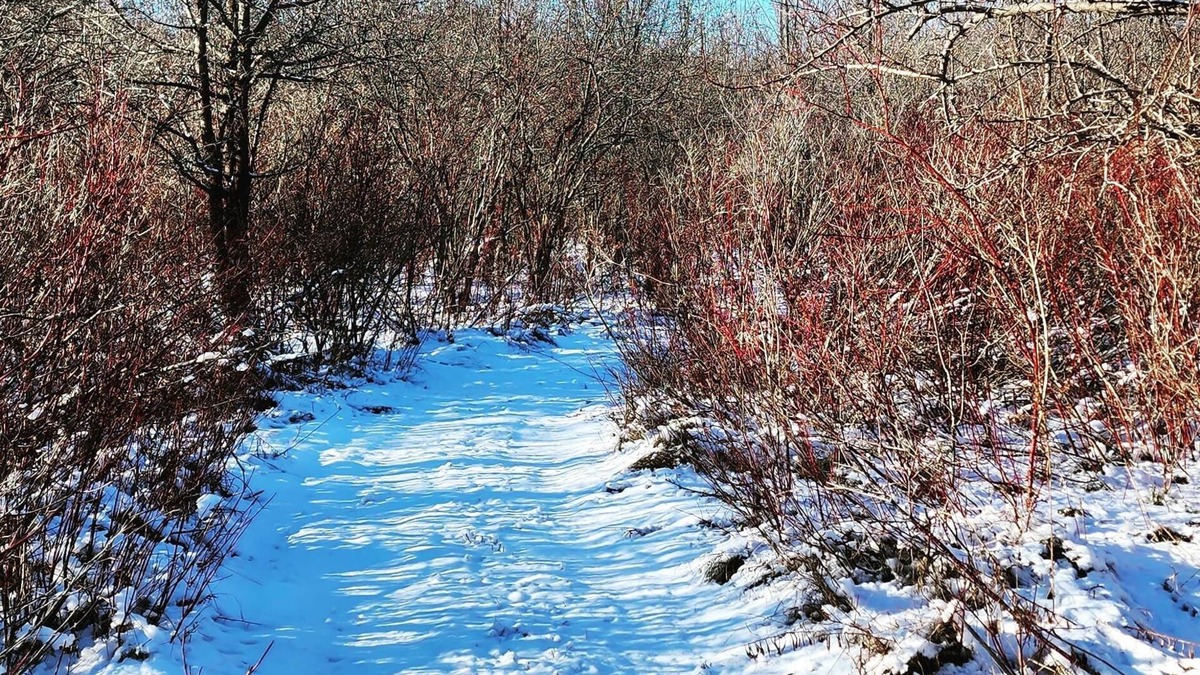 Meaford House | Beautiful retreat on 16 acres of tranquil views and trails, close to everything!
