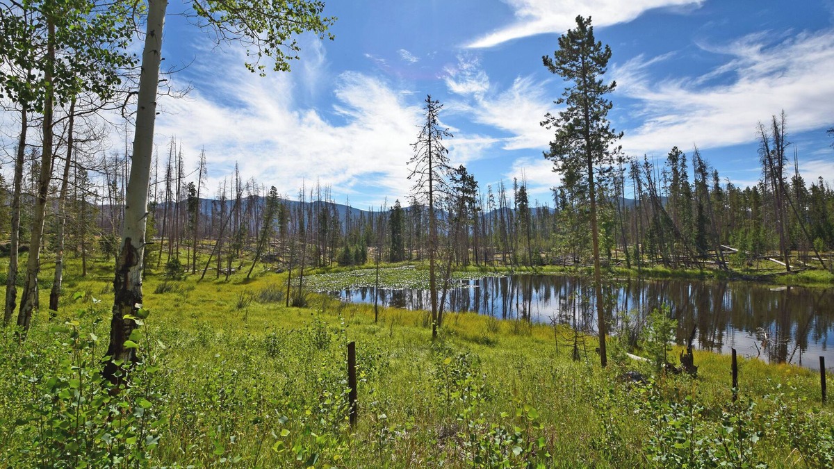 Grand Lake Cabin | Beautiful secluded setting on one acre that borders RMNP.