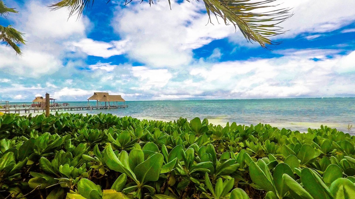 Puerto Juarez Apartment | Beautiful Suite double beach front