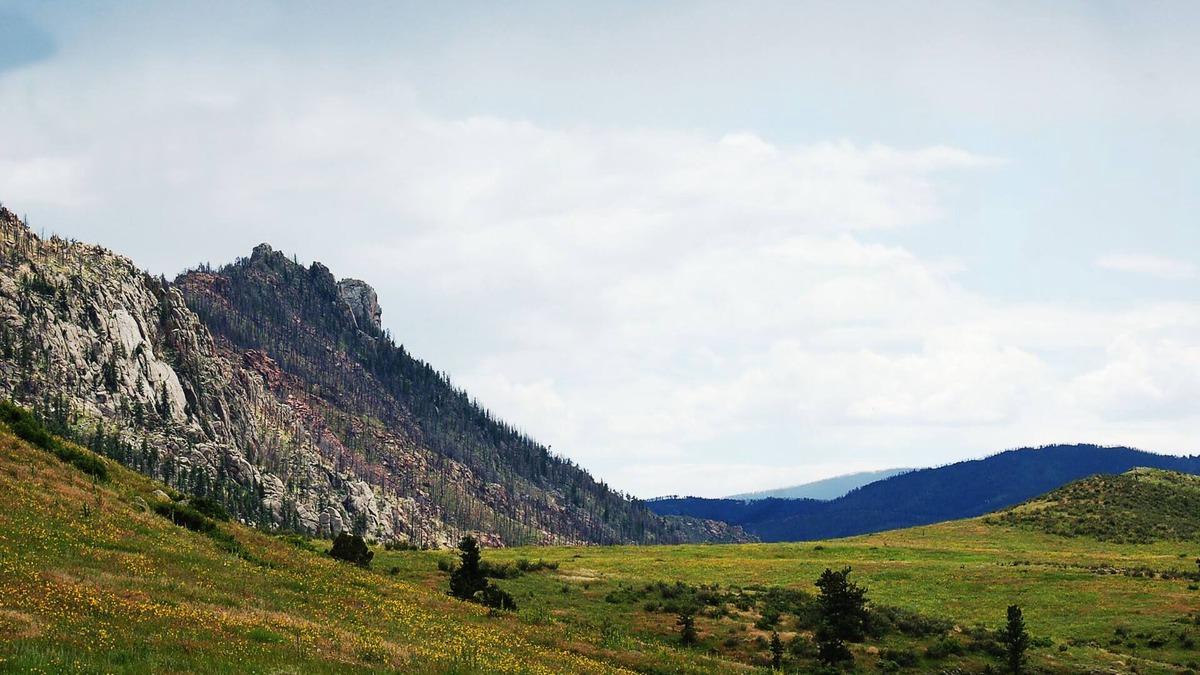 Livermore Apartment | Beautiful Suite in the Colorado Mountains w/Full Gourmet Breakfast