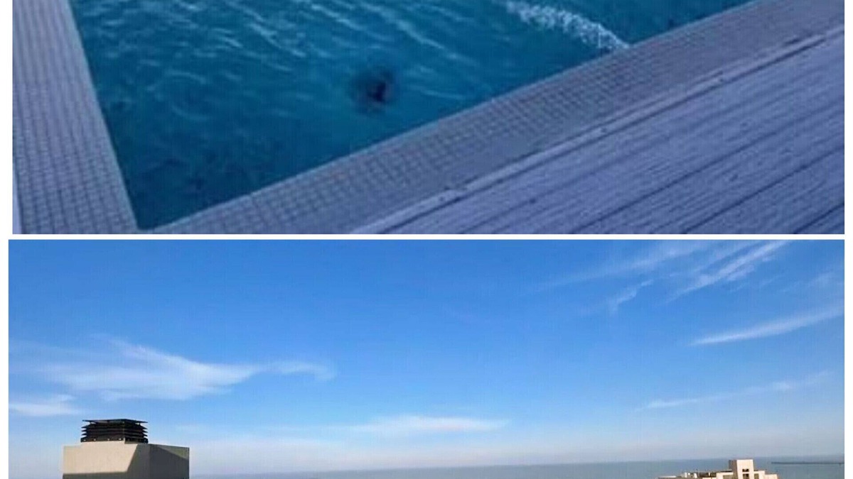 Pinamar Apartment | Beautiful three-room apartment in the center of Pinamar, steps from the sea.