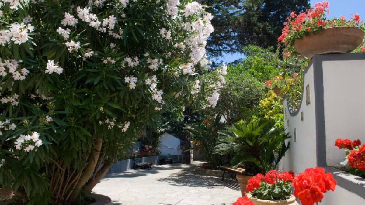 Capri Villa | Beautiful villa in the center of Capri with garden close to shopping area