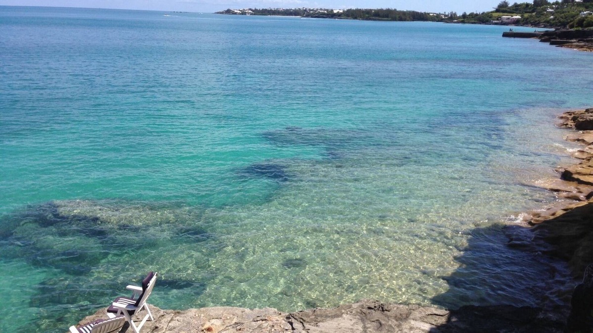 Devonshire House | Beautiful Water Front Property - Snorkel, Fish, or RELAX in the BEST LOCATION!