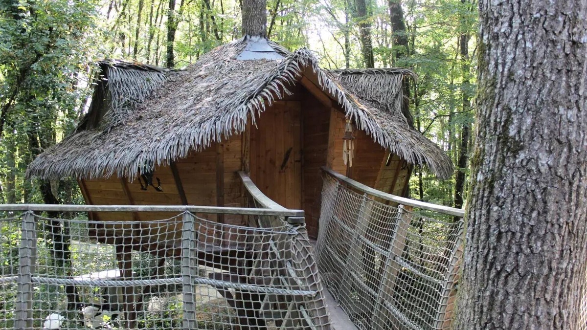 Salles-en-Toulon House | Beauty Park - Squirrel Cabin 4 people