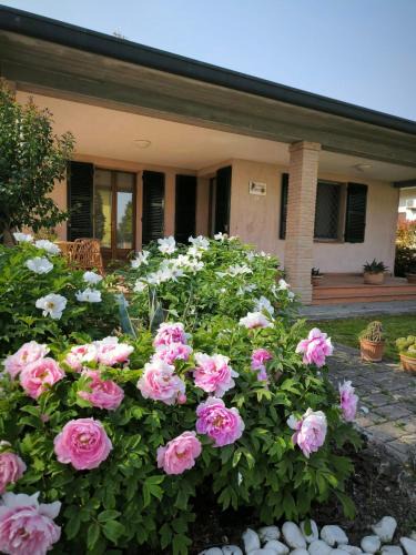 Castiglione di Cervia Bed & Breakfast | Bed and Breakfast La Contessa