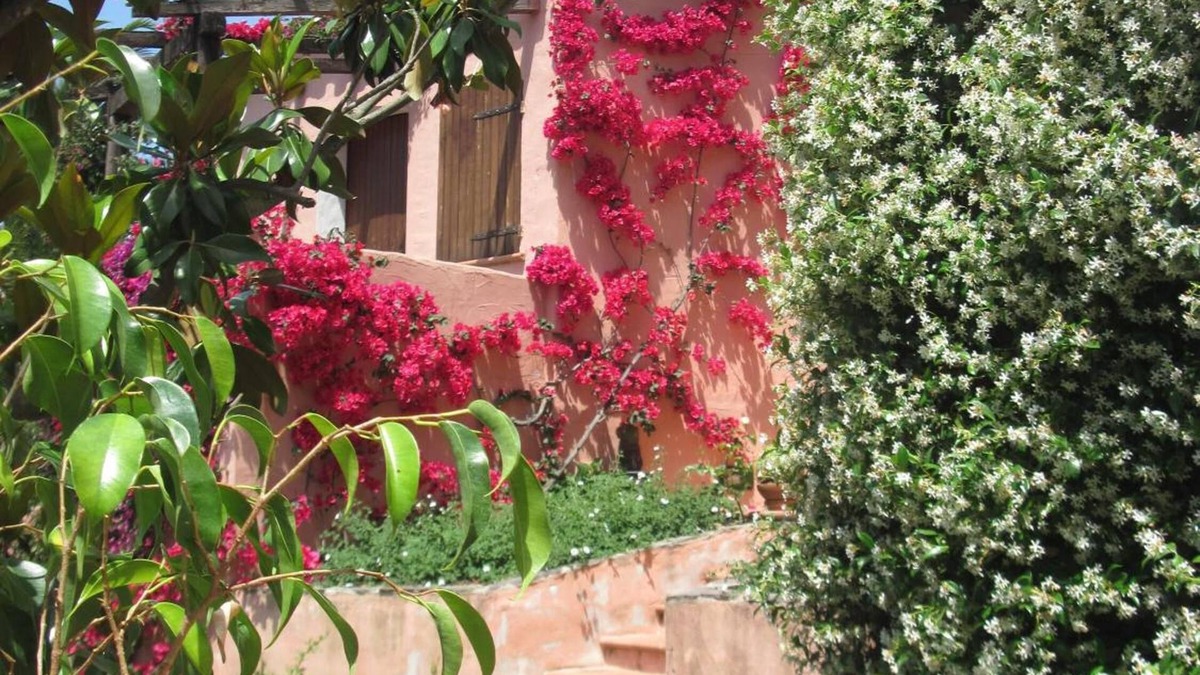 Olbia Bed & Breakfast | Bed and Breakfast Dessole