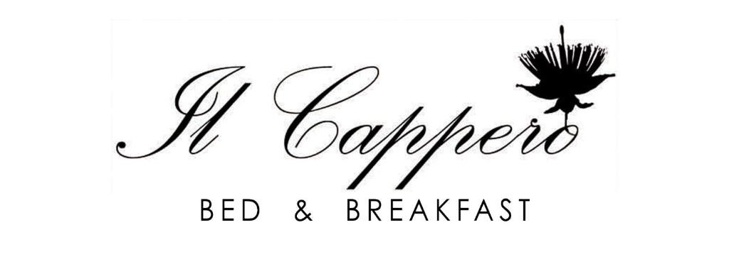 Serre di Rapolano Bed & Breakfast | Bed and Breakfast Il Cappero