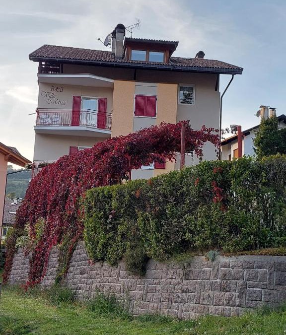 Cavalese Bed & Breakfast | Bed & breakfast Villa Maria
