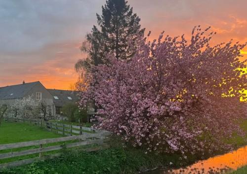Wijk bij Duurstede Bed & Breakfast | Bed & Brood De Vogelpoel