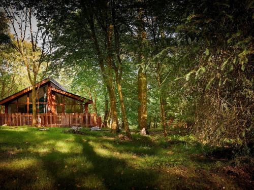 Beddgelert Resort | Beddgelert Cabins, Snowdonia - Forest Holidays