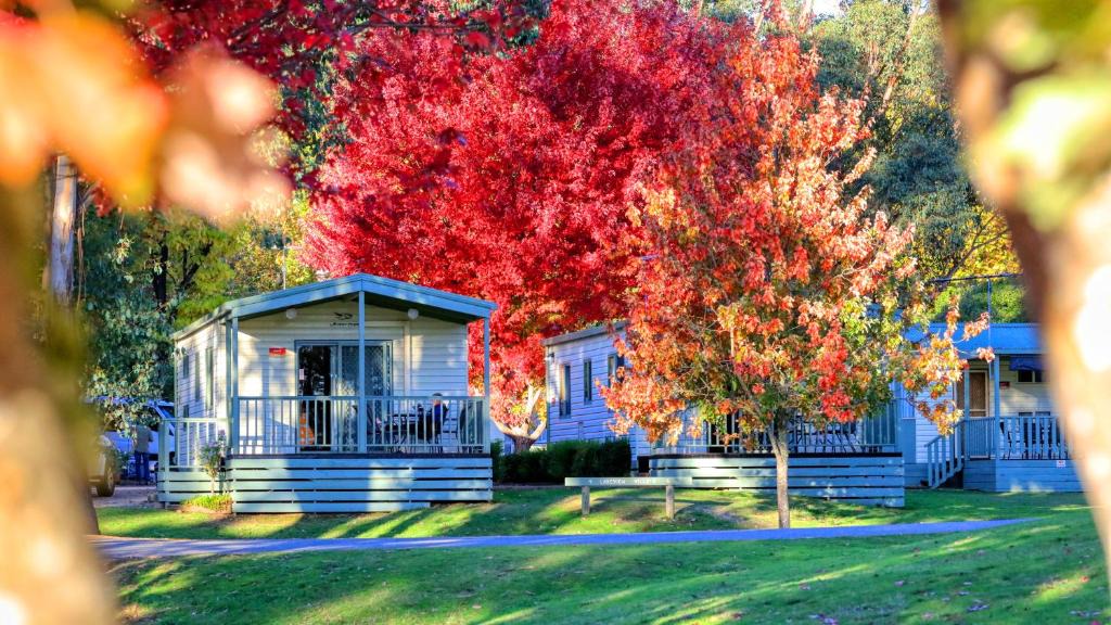Beechworth Resort | Beechworth Lake Sambell Caravan Park