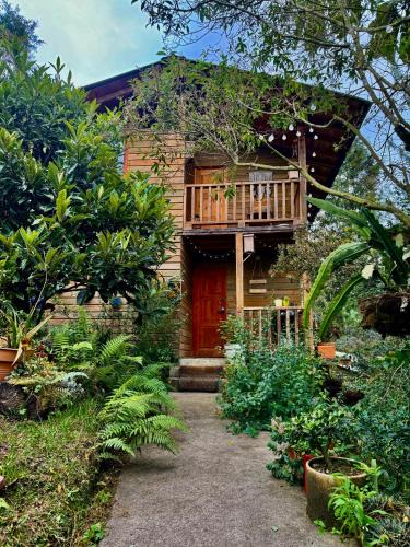 Guarne House | Beehouse Arví Cabaña