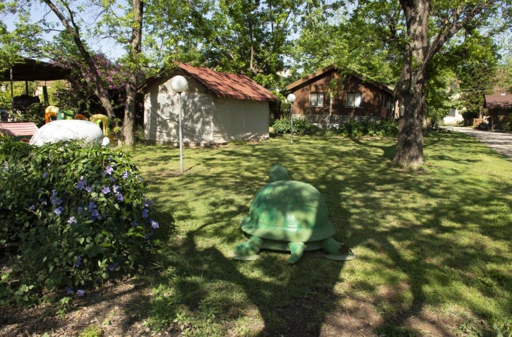 Beit Hillel Cabin | beit nofesh waiss