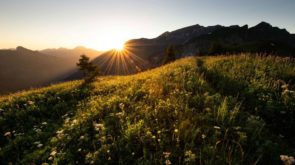 Champery House | Bel Appartement au Centre de Champéry Avec vue