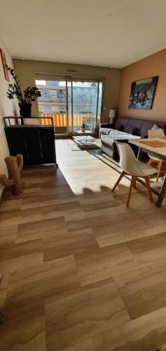 Carabacel Apartment | Bel Appartement plein centre Nice