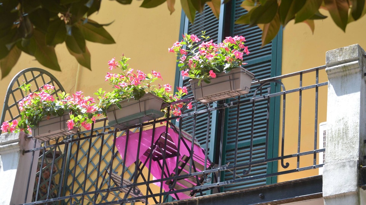 Lucca Historical Center Bed & Breakfast | Bella addormentata e il principe Calaf