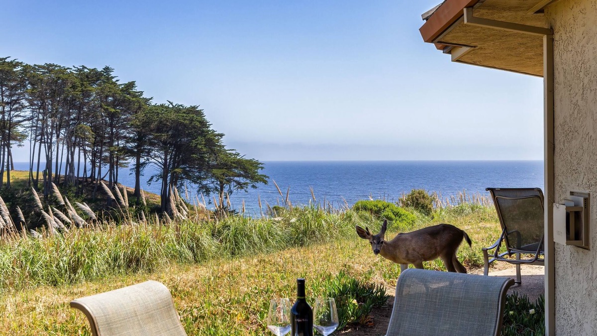 Rio del Mar Villa | Bella Vista by the Sea - Ground Level with a View on the North Bluff.