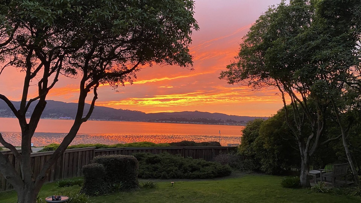 Belvedere Tiburon House | Bella Vista : Peaceful, Relaxing, and Comfortable, 30 - 60 day stays only