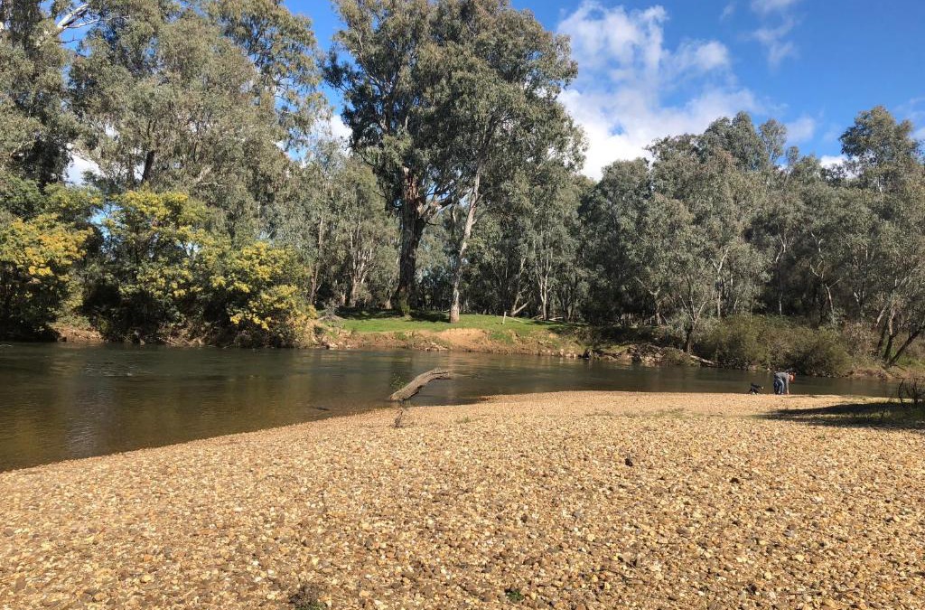 East Wangaratta Cabin | Beltie Park Homestead