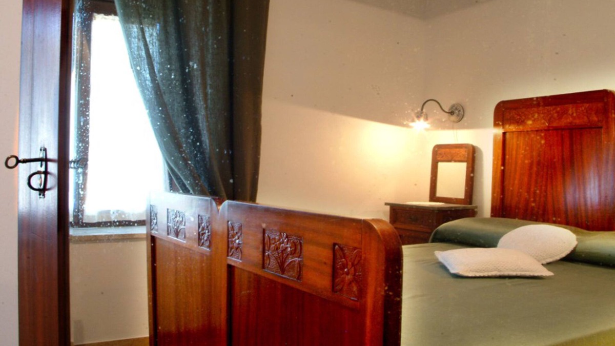 Vigne Other | Belvedere Cramaccioli farmhouse for stays in Umbria in the magnificent Narni