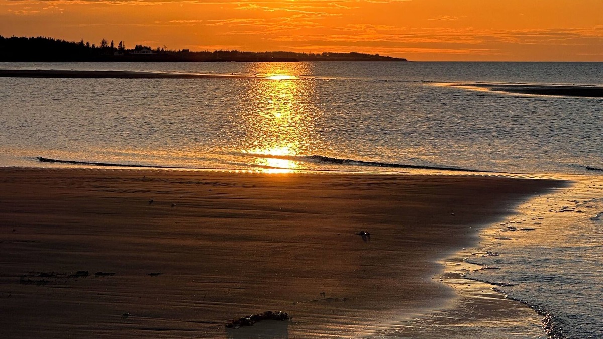 Botsford Cottage | Bent Brook Beach House - Private, pet friendly, beach access, central location