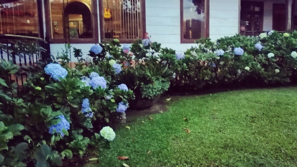 Pacuare Reserve Bed & Breakfast | Best immersion experience in a Farm at Finca Queveri