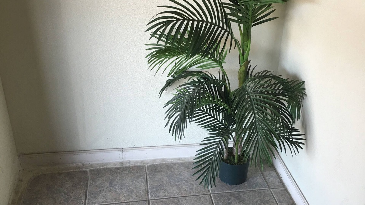 Marianna Hotel | Best Value Inn Motel Sandusky