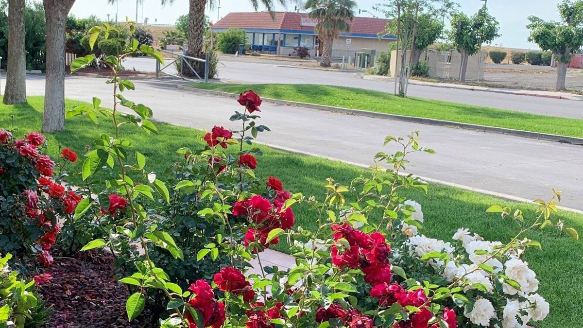 Coalinga Hotel | Best Western Big Country Inn
