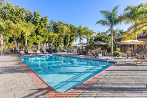 Santa Clara Hotel | Best Western University Inn Santa Clara