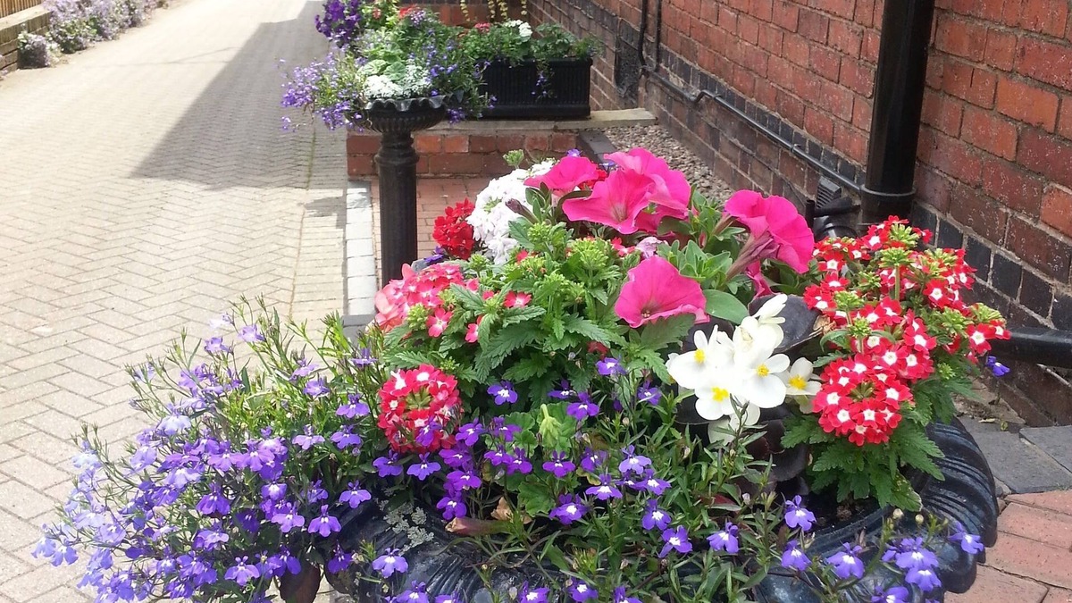 Kidderminster Bed & Breakfast | Bewdley Hill House