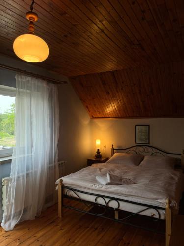 Trzciel House | Biały Domek