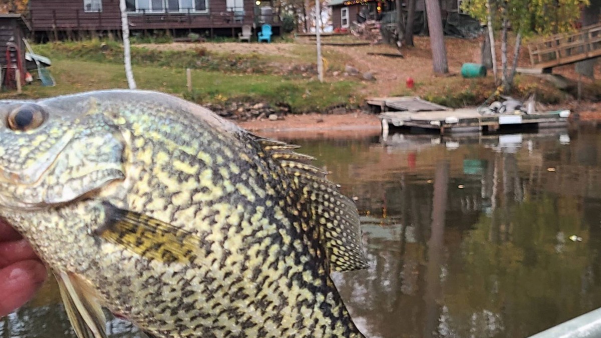 Hayward Cabin | Big Chip Lodge. Awesome view. Dock 50' away. Authentic Historical Wisconsin.