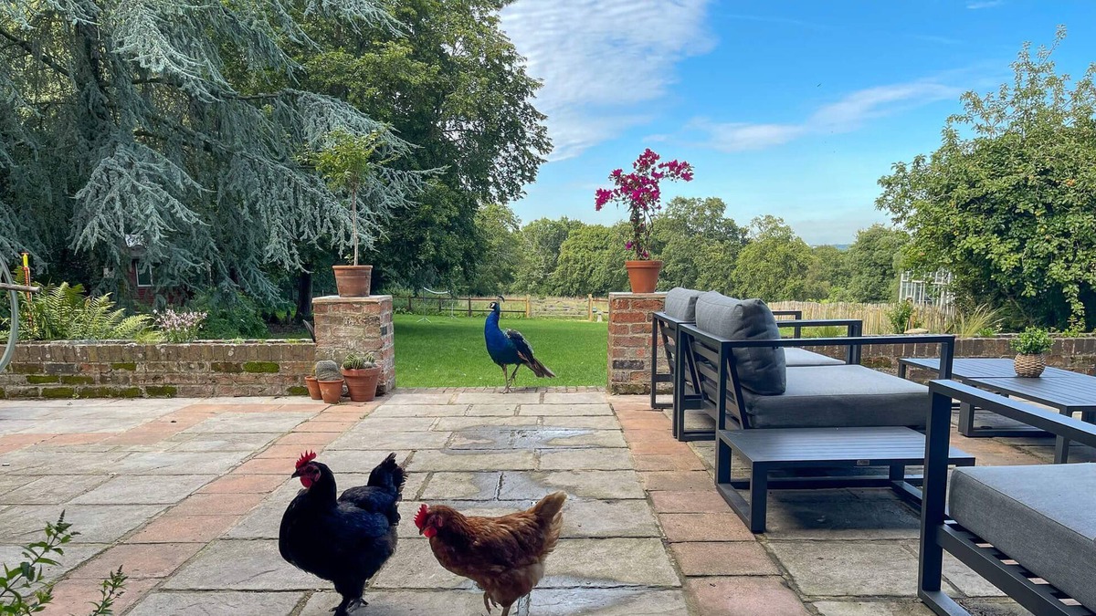 New Forest District Cottage | Big farmhouse gives guests proper coast and country living..