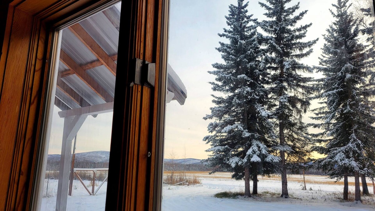 Fairbanks Cabin | Big sky aurora! stunning views