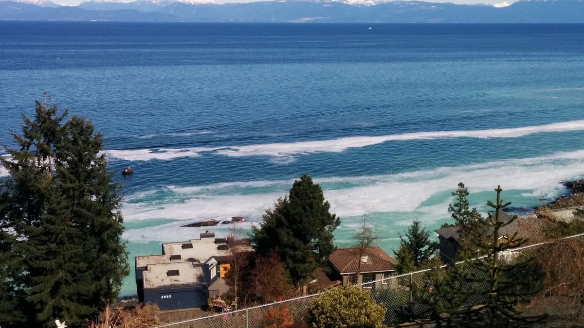 Regional District of Nanaimo Apartment | Big Vista Panoramic Cruise-ship-View Suite. Minutes from the beach!