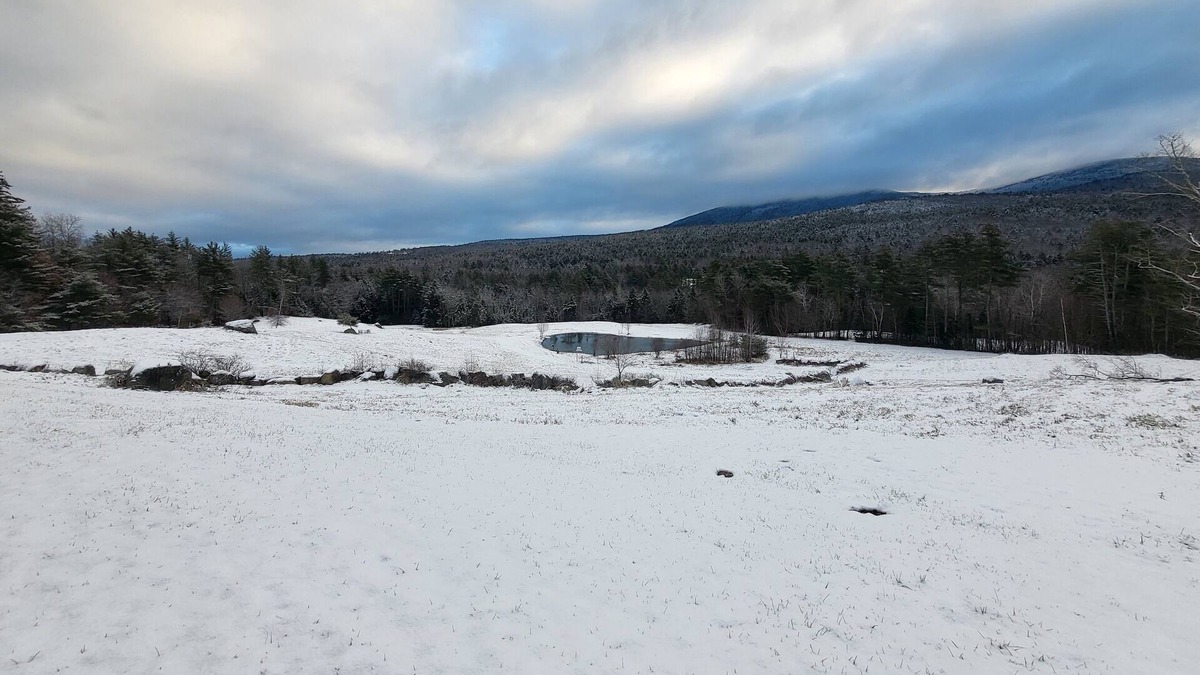 Elkins House | Biking, Mountains, Hiking, Functions, Cooking, Swimming, RELAX, Wildlife, ESCAPE