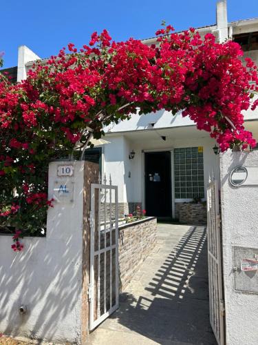 Falca House | Bing Garden Guesthouse