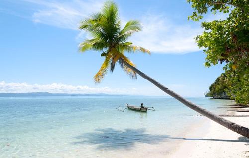 Raja Ampat House | Binmeos Homestay