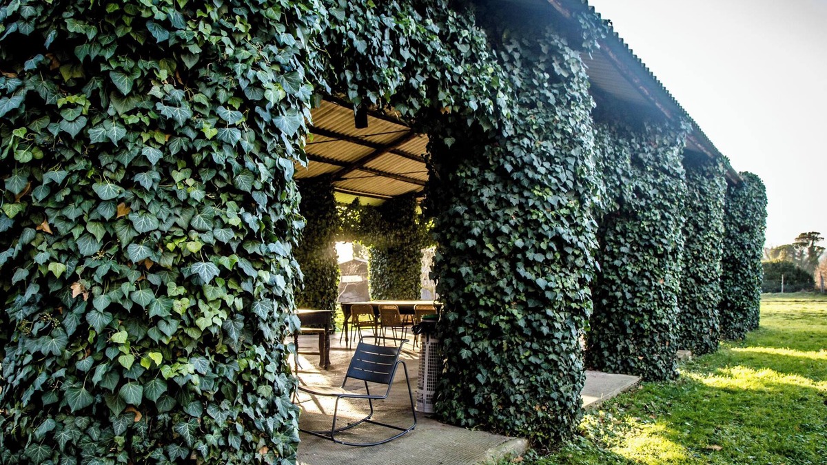 Civitella Paganico Other | Bio Tenuta di Paganico - I Roggeti